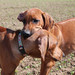 <p>Ariane a Emily</p>