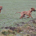 <p>Sestry v akci</p>