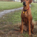 <p>Arinka</p>