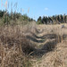 <p>Jarní </p>