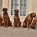 <p>Emily, Lincoln, Eiby, Adam, Agáta</p>