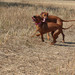 <p>Sestry v akci</p>