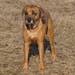 <p>Meggie</p>