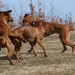 <p>Povedlo se!</p>