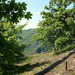 <p>Svatý Jan pod Skalou</p>