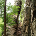 <p>Rozštípená skála</p>