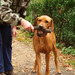 <p>Jako v bavlnce</p>