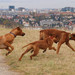 <p>...a na Melinkůůůů</p>