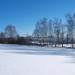 <p>Zimní Šumava</p>