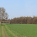 <p>Cesta k bříze je určena pro hlemýždě </p>